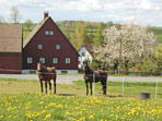 An der Dresdner Stra�e, Pretzschendorf