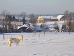 Blick zum Rundhof, Pretzschendorf