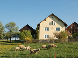Ferme