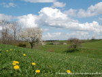 Fr&uuml;hlingslandschaft
